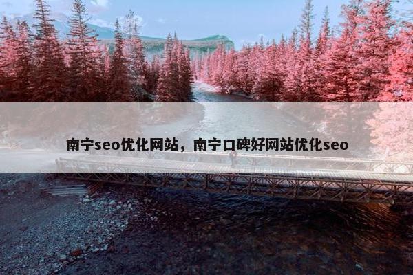 南宁seo优化网站，南宁口碑好网站优化seo