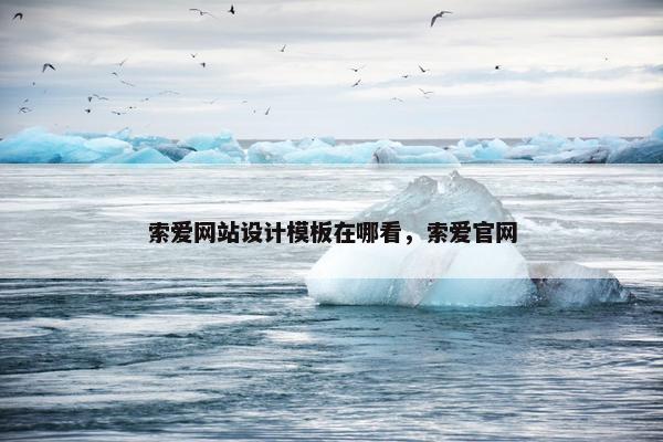 索爱网站设计模板在哪看，索爱官网