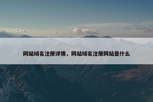 网站域名注册详情，网站域名注册网站是什么