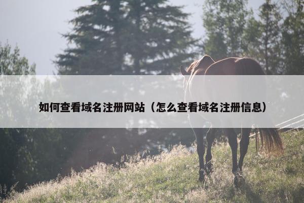 如何查看域名注册网站（怎么查看域名注册信息）