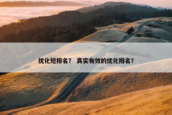 优化短排名？ 真实有效的优化排名？
