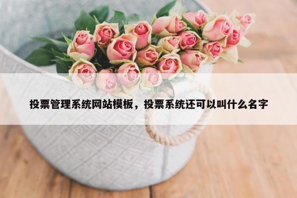 投票管理系统网站模板，投票系统还可以叫什么名字