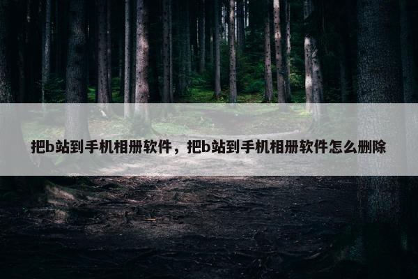 把b站到手机相册软件，把b站到手机相册软件怎么删除