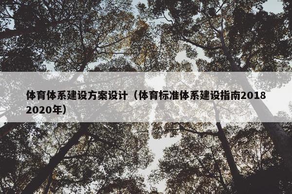 体育体系建设方案设计（体育标准体系建设指南20182020年）