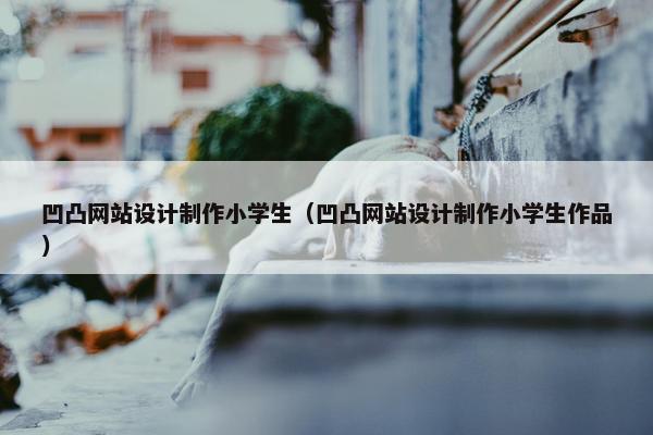 凹凸网站设计制作小学生（凹凸网站设计制作小学生作品）
