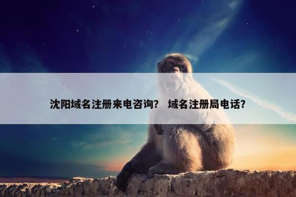沈阳域名注册来电咨询？ 域名注册局电话？