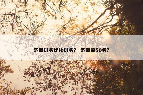 济南排名优化排名？ 济南前50名？