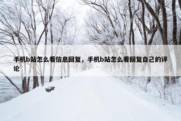手机b站怎么看信息回复，手机b站怎么看回复自己的评论