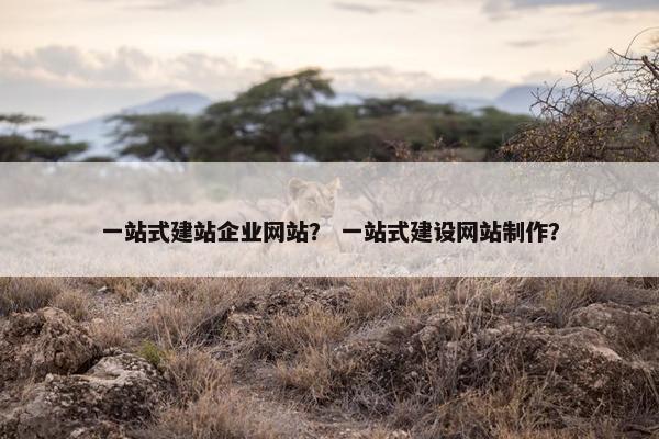 一站式建站企业网站？ 一站式建设网站制作？