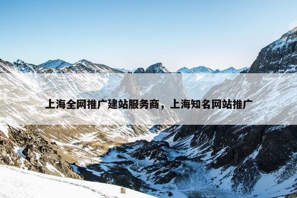 上海全网推广建站服务商，上海知名网站推广