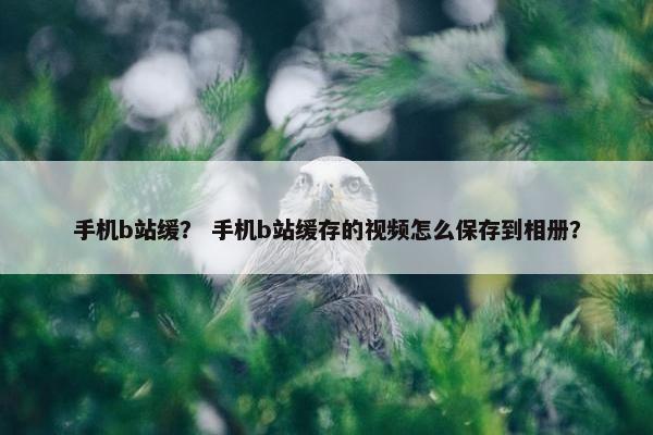 手机b站缓？ 手机b站缓存的视频怎么保存到相册？