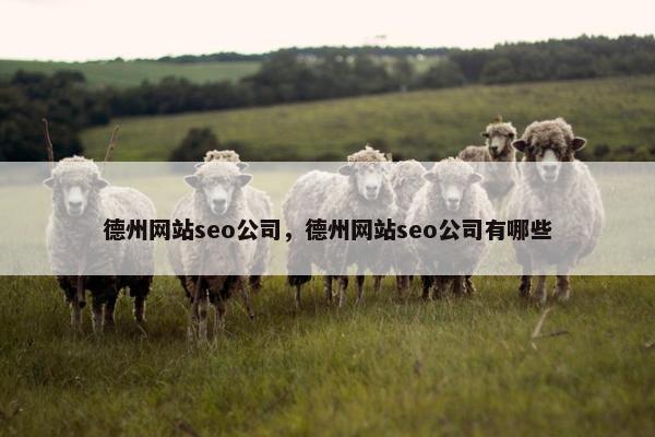 德州网站seo公司，德州网站seo公司有哪些