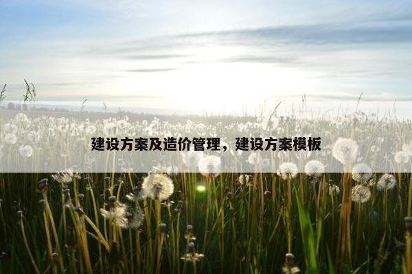 建设方案及造价管理，建设方案模板