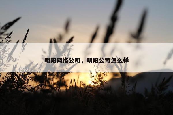 明阳网络公司，明阳公司怎么样
