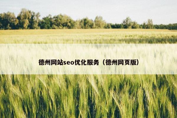 德州网站seo优化服务（德州网页版）