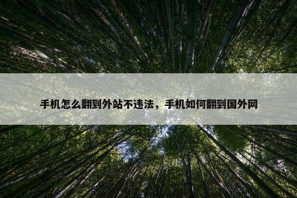 手机怎么翻到外站不违法，手机如何翻到国外网