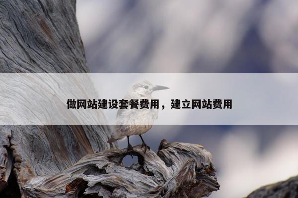 做网站建设套餐费用，建立网站费用