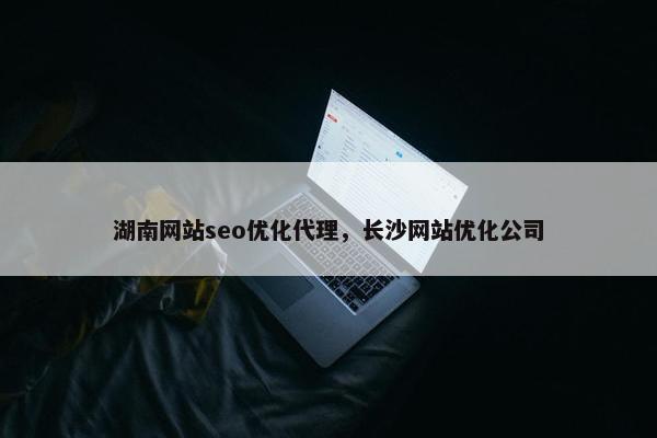 湖南网站seo优化代理，长沙网站优化公司