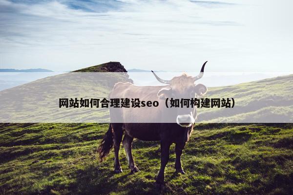 网站如何合理建设seo（如何构建网站）