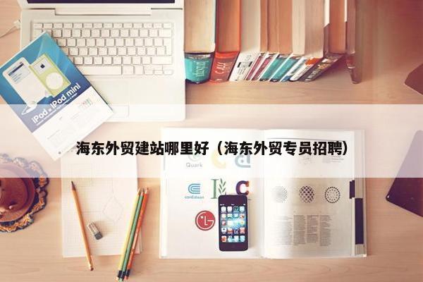 海东外贸建站哪里好（海东外贸专员招聘）