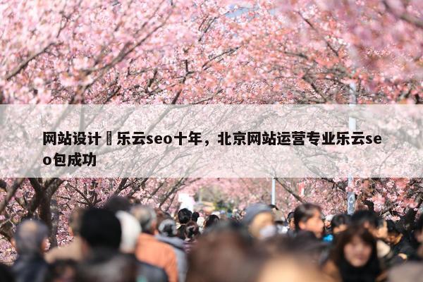 网站设计亅乐云seo十年，北京网站运营专业乐云seo包成功