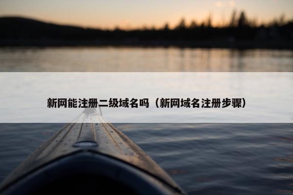 新网能注册二级域名吗（新网域名注册步骤）