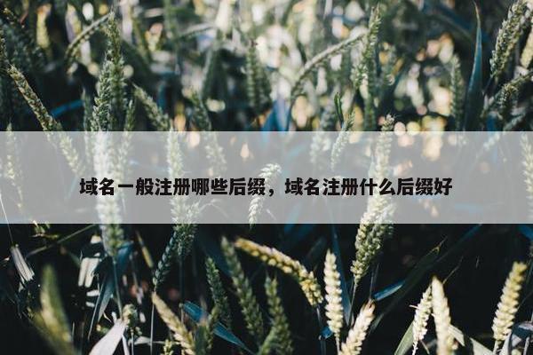 域名一般注册哪些后缀，域名注册什么后缀好
