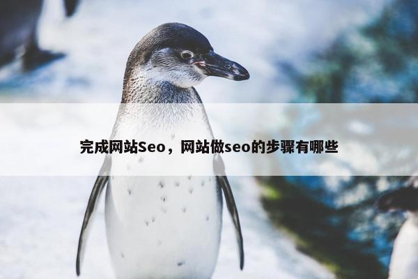 完成网站Seo，网站做seo的步骤有哪些