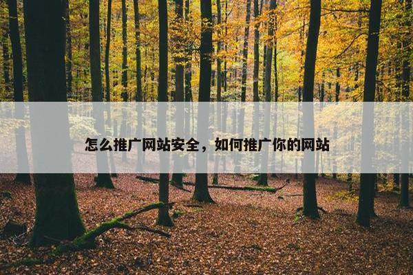 怎么推广网站安全，如何推广你的网站