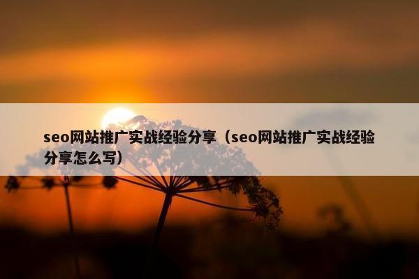 seo网站推广实战经验分享（seo网站推广实战经验分享怎么写）