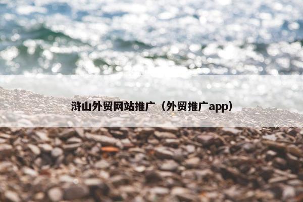 浒山外贸网站推广（外贸推广app）