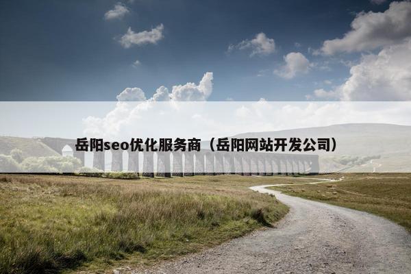 岳阳seo优化服务商（岳阳网站开发公司）