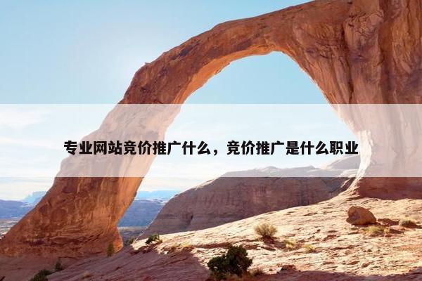 专业网站竞价推广什么，竞价推广是什么职业