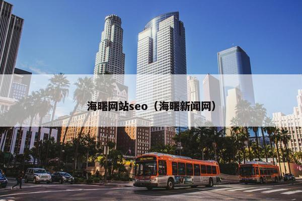海曙网站seo（海曙新闻网）