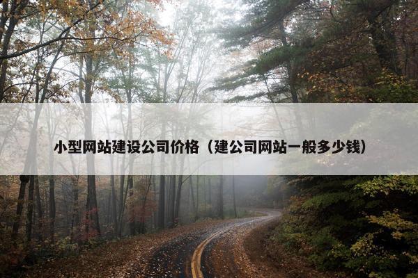 小型网站建设公司价格（建公司网站一般多少钱）