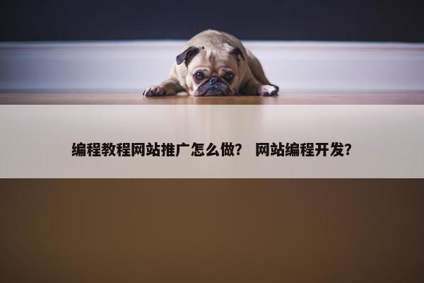 编程教程网站推广怎么做？ 网站编程开发？