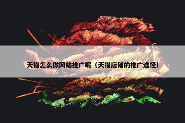 天猫怎么做网站推广呢（天猫店铺的推广途径）