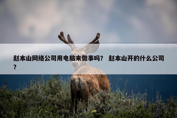 赵本山网络公司用电脑来做事吗？ 赵本山开的什么公司？