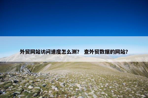 外贸网站访问速度怎么测？ 查外贸数据的网站？