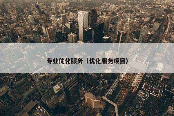 专业优化服务（优化服务项目）