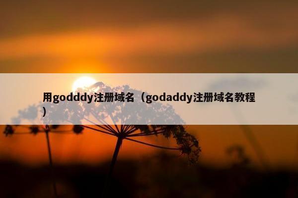 用godddy注册域名（godaddy注册域名教程）