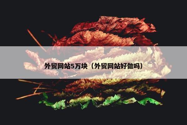外贸网站5万块（外贸网站好做吗）