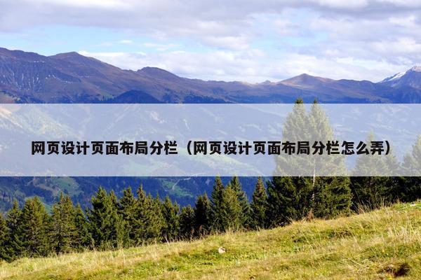 网页设计页面布局分栏（网页设计页面布局分栏怎么弄）