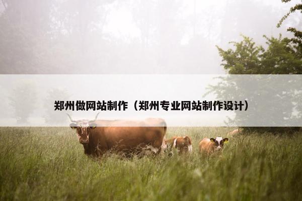 郑州做网站制作（郑州专业网站制作设计）