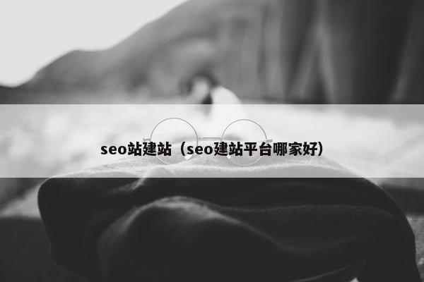 seo站建站（seo建站平台哪家好）