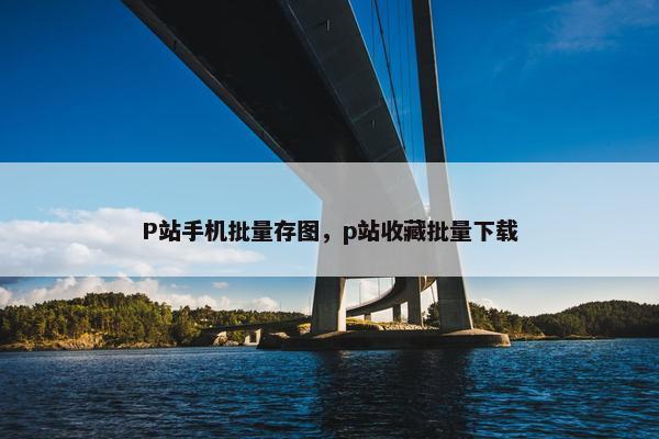 P站手机批量存图，p站收藏批量下载