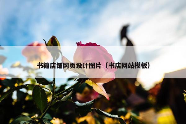 书籍店铺网页设计图片（书店网站模板）