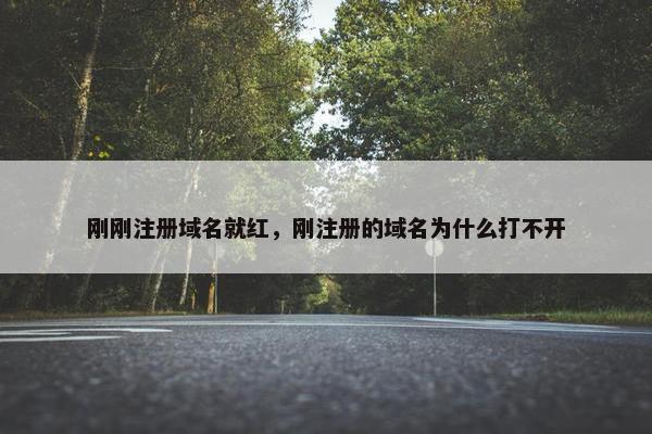 刚刚注册域名就红，刚注册的域名为什么打不开