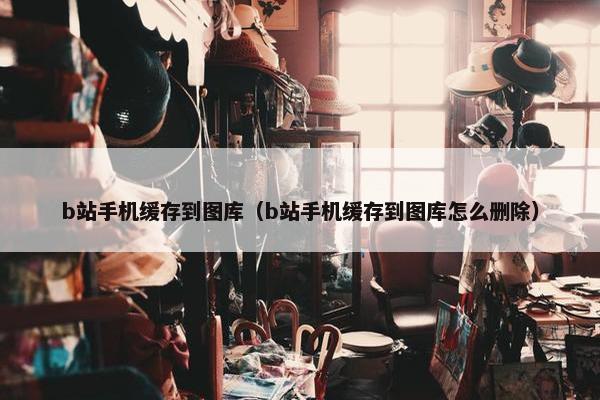 b站手机缓存到图库（b站手机缓存到图库怎么删除）