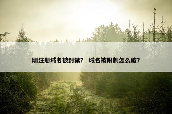 刚注册域名被封禁？ 域名被限制怎么破？